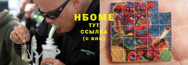 индика Краснотурьинск