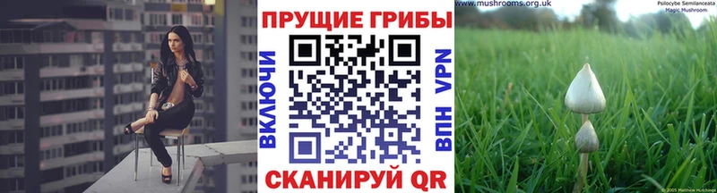 сайты даркнета какой сайт  Кондрово  Псилоцибиновые грибы MAGIC MUSHROOMS 